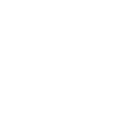 LOGO BLANC DUCHESS PUBLISHING