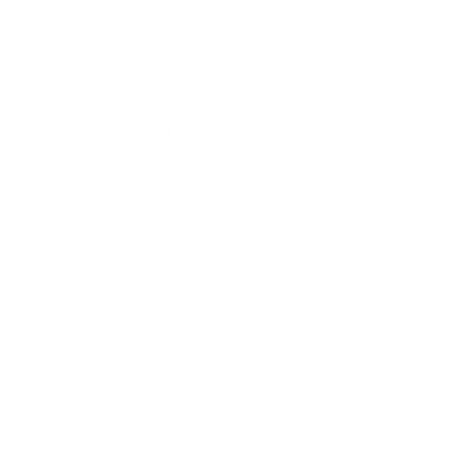 LOGO BLANC ECOLE BLEUE