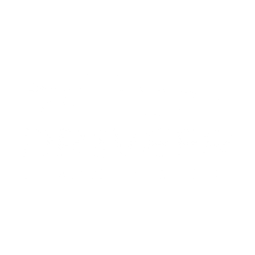 LOGO DRIVEFR WEBLEAGUE
