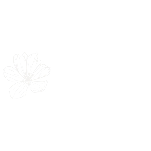 LOGO AMS MASSAGES WEBLEAGUE