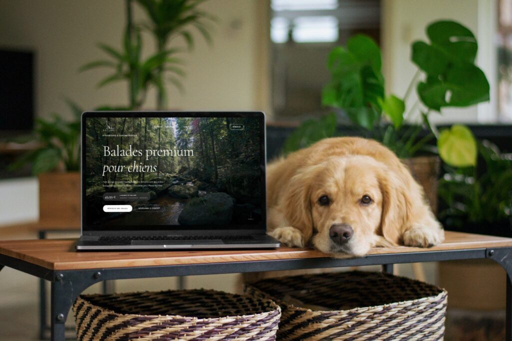 développement site web moderne pour entreprise en sous-traitance