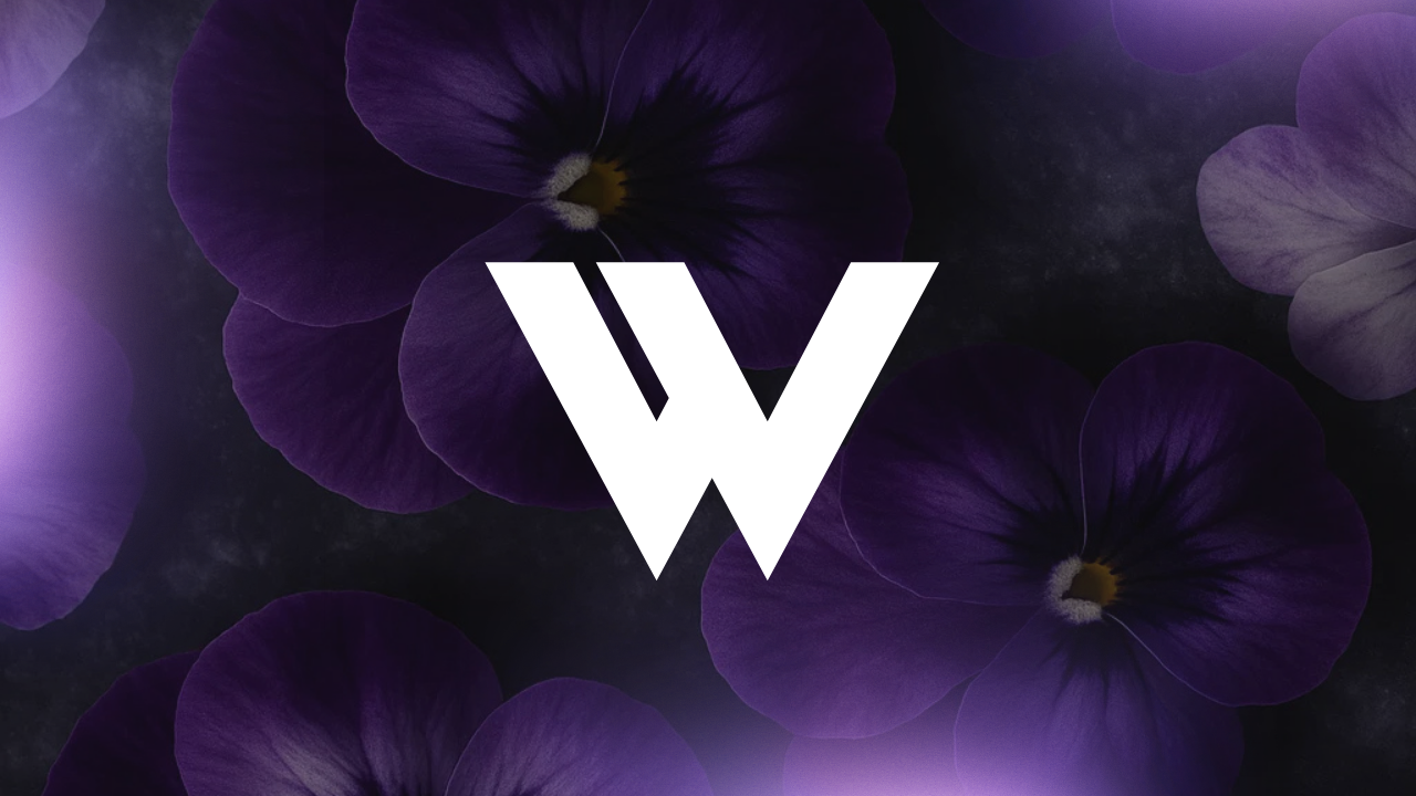 Webleague – création de sites internet, graphisme et solutions digitales